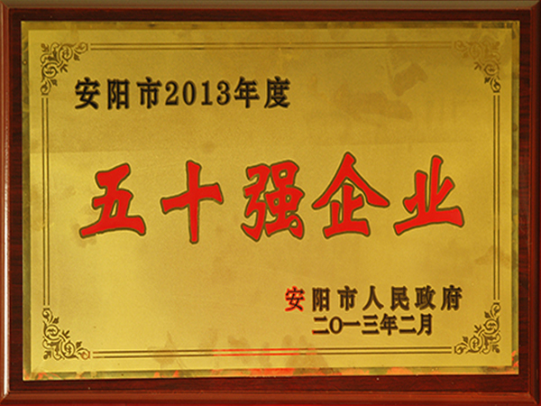 2013年度五十強企業(yè)